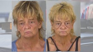 Quite an audience gathered to watch his woman punch her boyfriend’s head, scratch his arms and chest