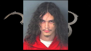 Busted for shootings, break-ins and a spending spree on school district’s dime, authorities say