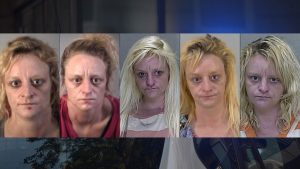 Arrested after falling through ceiling from attic, and after denying ‘any illegal items on or inside of her’