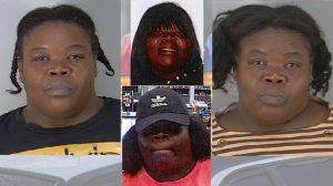 Woman charged with stealing from Walmart sporting goods section, also ‘thefts at Lowe’s all over’